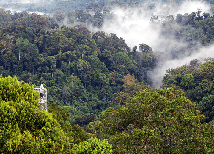 Brunei